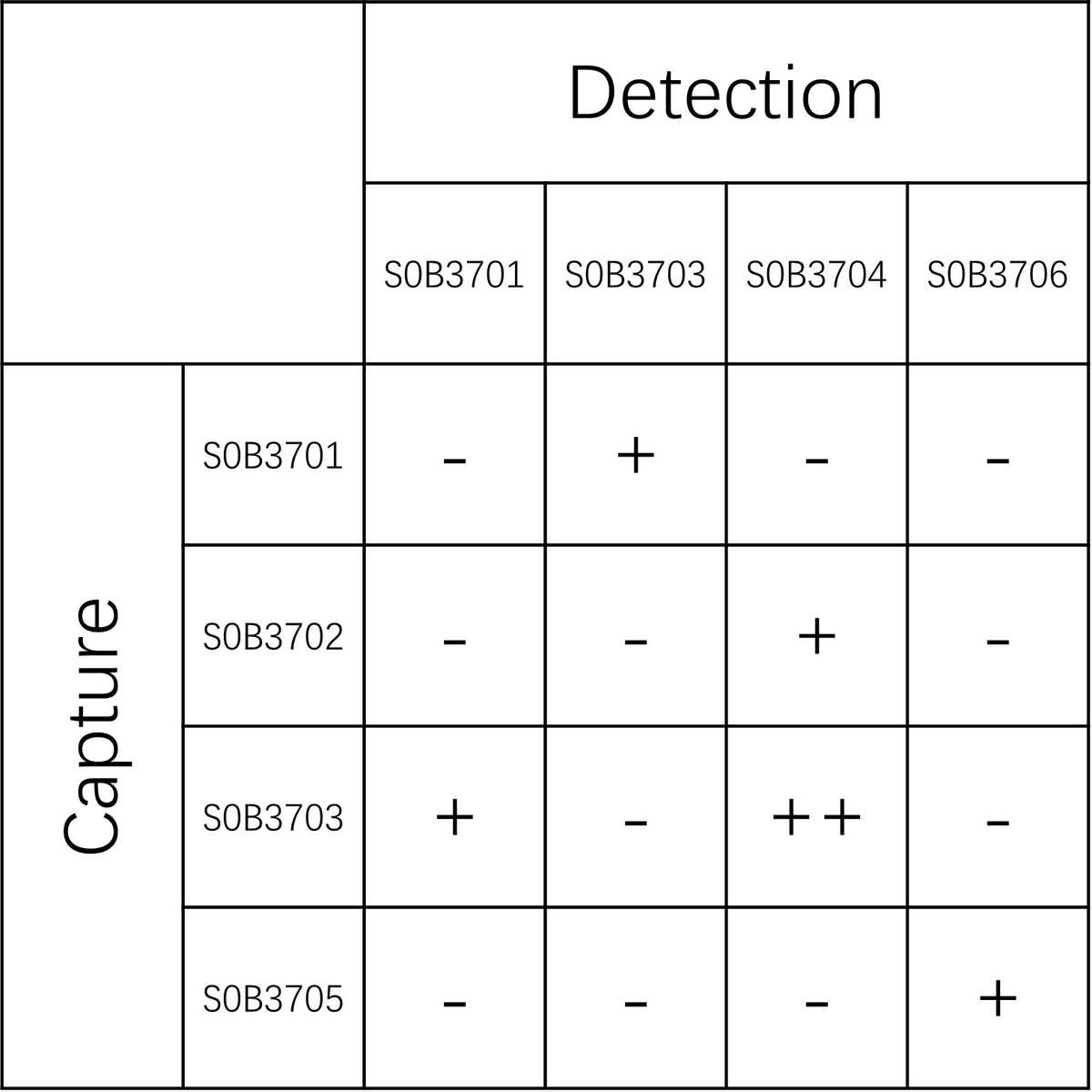 S100A12 Recombinant Rabbit mAb (SDT-2776-47)