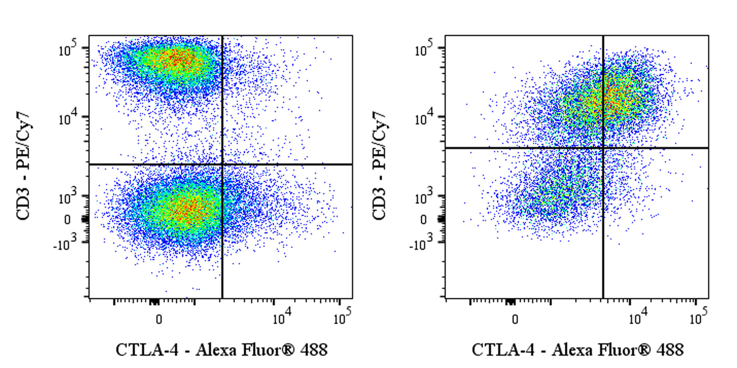 Alexa Fluor® 488 Armenian hamster Anti-Mouse CTLA-4 (CD152) Antibody (UC10-4F10-11)