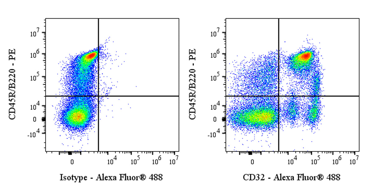 Alexa Fluor® 488 Mouse Anti-Rat CD32 Antibody (S-4246)