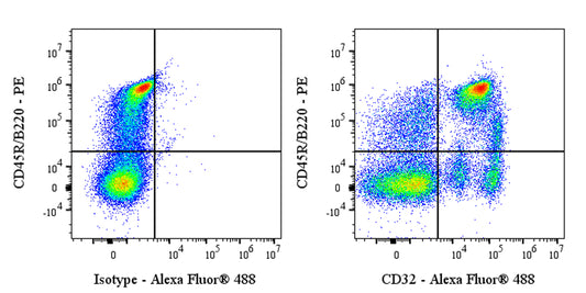 Alexa Fluor® 488 Mouse Anti-Rat CD32 Antibody (S-4246)