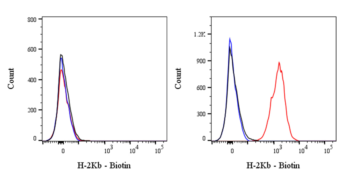 Biotin Mouse Anti-Mouse H-2Kb Antibody (AF6-88.5)