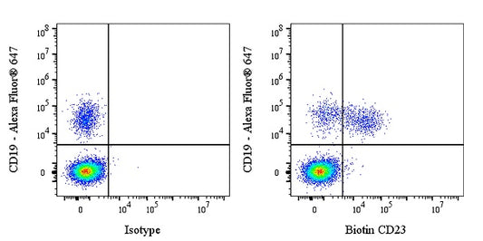 Biotin Mouse Anti-Human CD23 Antibody (EBVCS-5)