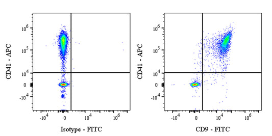 FITC Rabbit Anti-Human CD9 Antibody (S-143-53)