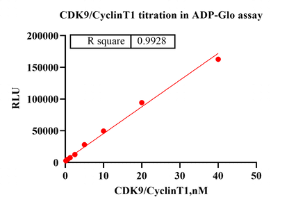 CDK9/CyclinT1 GST&His Tag Protein,Human