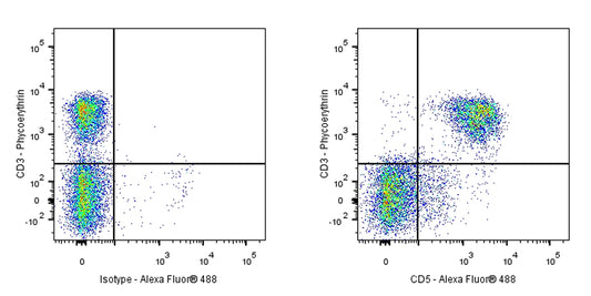 Rat Anti-Mouse CD5 Antibody (53-7.3)