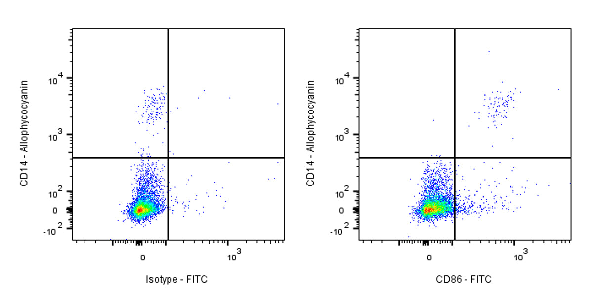 FITC Mouse Anti-Human CD86 Antibody (IT2.2)