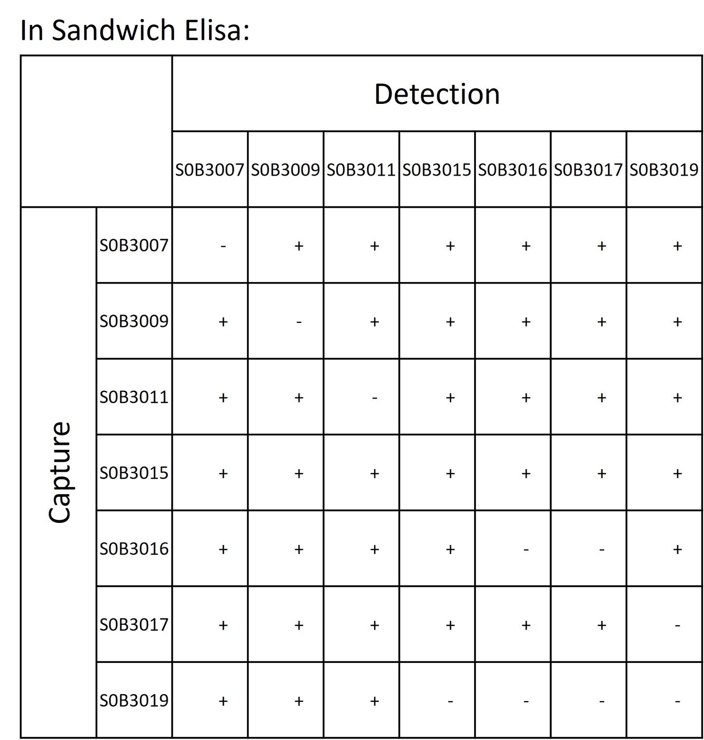 SARS-CoV-2 Nucleocapsid Protein Recombinant Rabbit mAb (SDT-021-7)