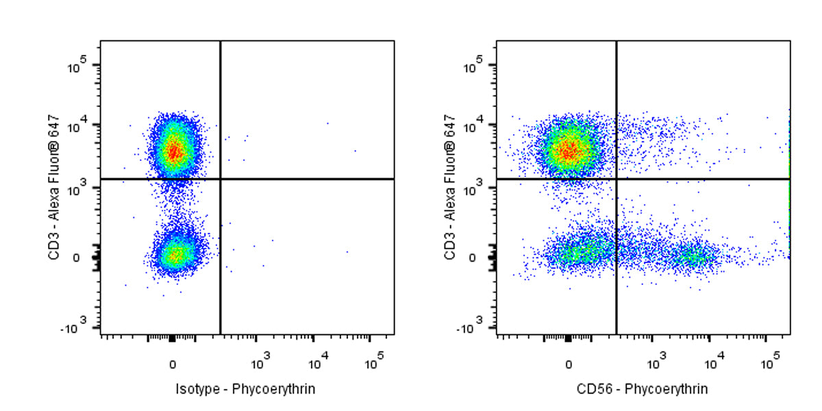 PE Mouse Anti-Human CD56 Antibody (S-3499)