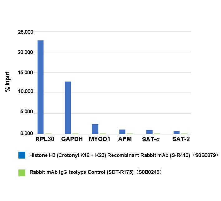 Histone H3 (Crotonyl K9) Recombinant Rabbit mAb (S-R409)