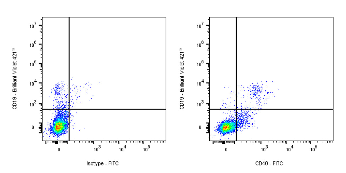 FITC Mouse Anti-Human CD40 Antibody (HI40a)