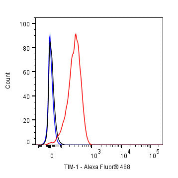 TIM-1 Recombinant Rabbit mAb (S-1555-147)