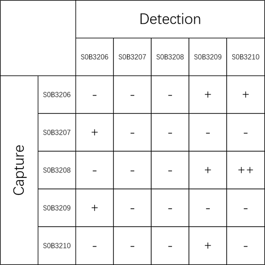 Canine Coronavirus Nucleocapsid (CCoV N) Recombinant Rabbit mAb (SDT-406-66)