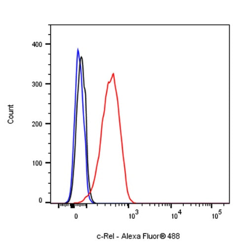 c-Rel Recombinant Rabbit mAb (S-1150-52)