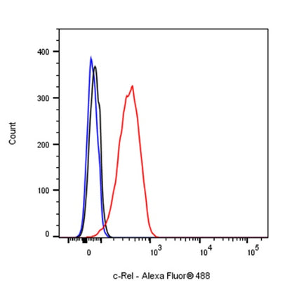 c-Rel Recombinant Rabbit mAb (S-1150-52)