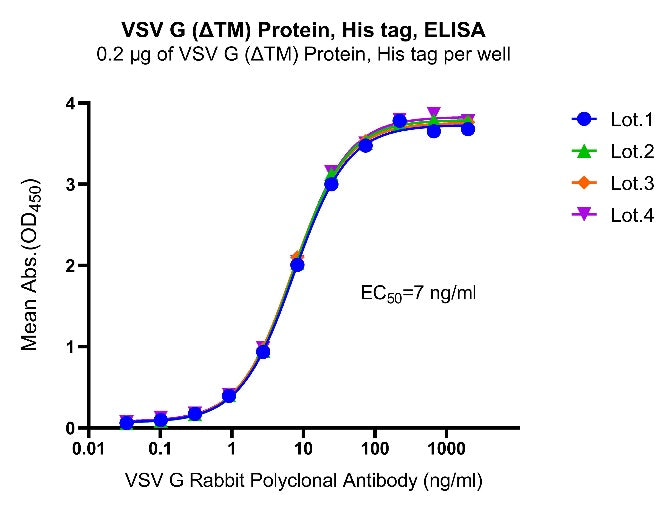 VSV G (ΔTM) Protein, His Tag