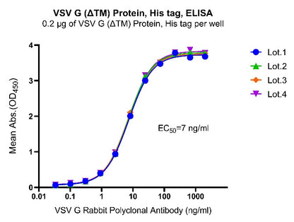 VSV G (ΔTM) Protein, His Tag