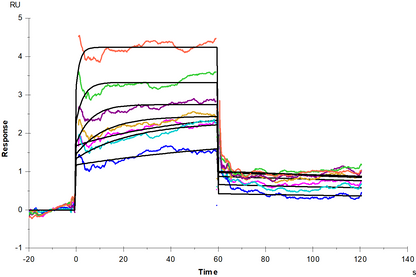 VHL/Elongin-C/Elongin-B Complex Protein, Human