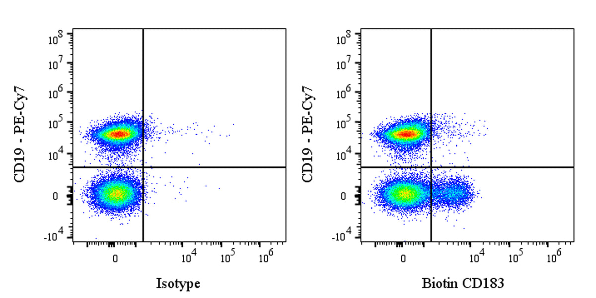 Biotin Armenian hamster Anti-Mouse CD183 Antibody (CXCR3-173)