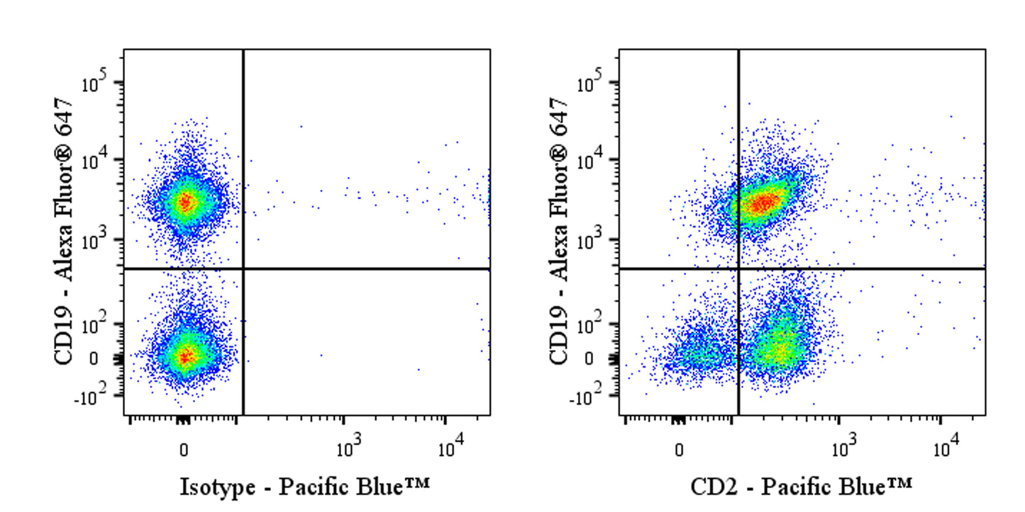 Pacific Blue Rat Anti-Mouse CD2 Antibody (RM2-5)