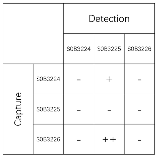 C-Peptide Recombinant Rabbit mAb (SDT-638-36)