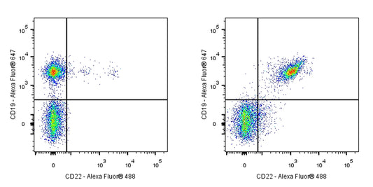 Rat Anti-Mouse CD22 Antibody (OX-97)