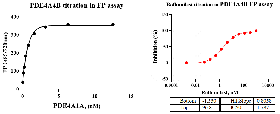 PDE4A4B GST&Flag Tag Protein, Human
