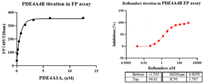 PDE4A4B GST&Flag Tag Protein, Human