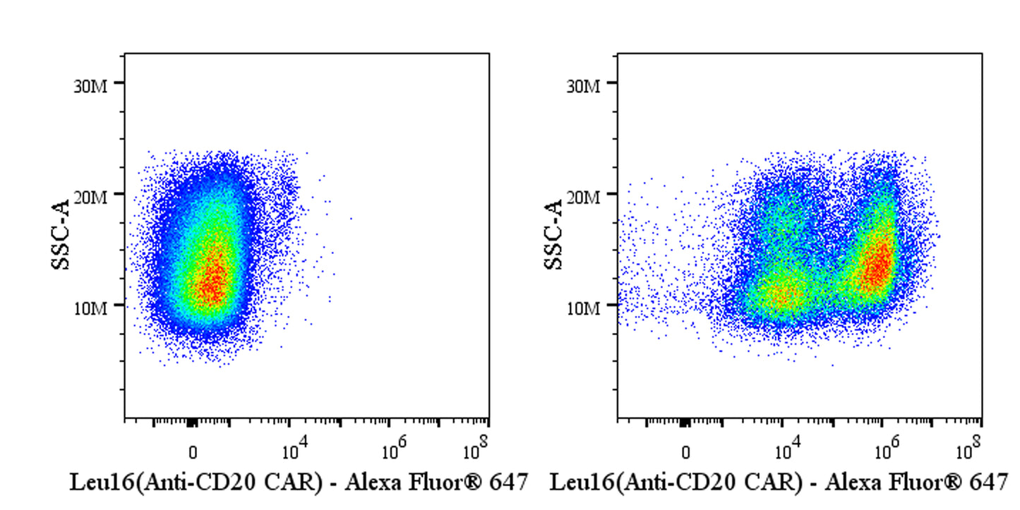 Anti-Mouse Leu16 scFv (Anti-CD20 CAR) Recombinant Rabbit mAb (Alexa Fluor® 647 Conjugate) (S-5469)