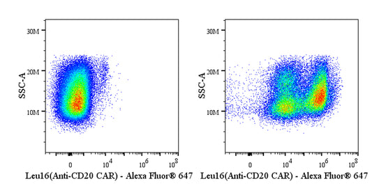 Anti-Mouse Leu16 scFv (Anti-CD20 CAR) Recombinant Rabbit mAb (Alexa Fluor® 647 Conjugate) (S-5469)