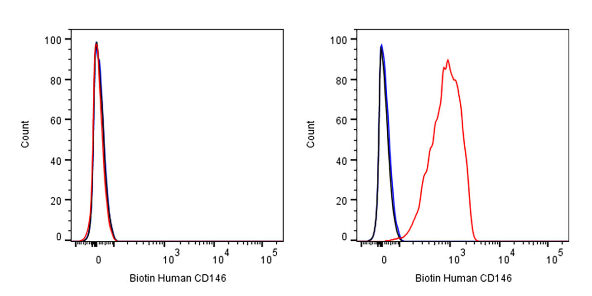 Biotin Mouse Anti-Human CD146 Antibody (S-3679)