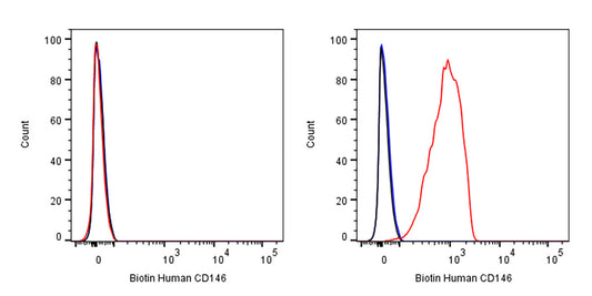 Biotin Mouse Anti-Human CD146 Antibody (S-3679)