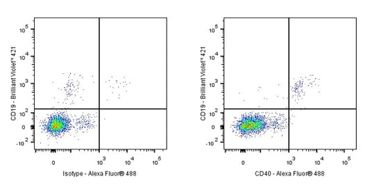 Goat Anti-Human IgG, Fcγ Fragment Specific (min X Bov, Ms, Rat Sr Prot) (Alexa Fluor® 488 Conjugate)