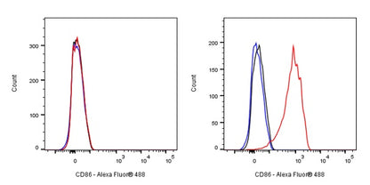 CD86 Recombinant Rabbit mAb (S-990-1)