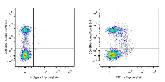 Mouse Anti-Rat CD1d Antibody (S-R701)