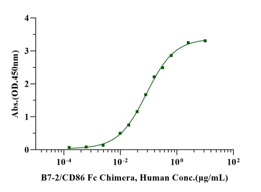 B7-2/CD86 Fc Chimera Protein, Human