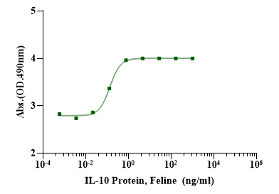IL-10 Protein, Feline