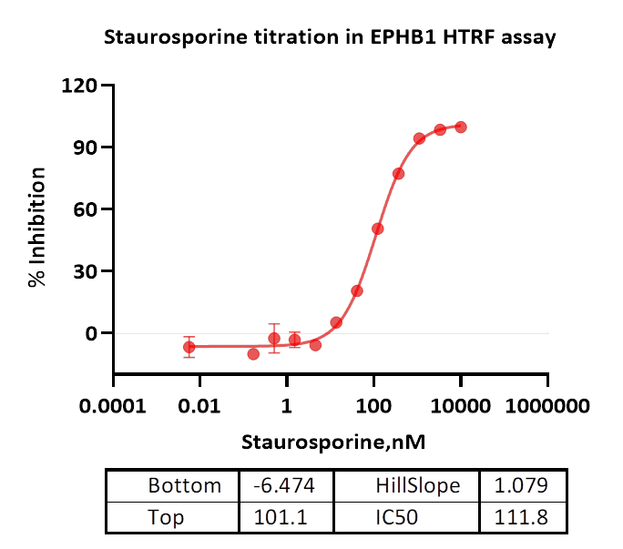 EPHB1 Protein