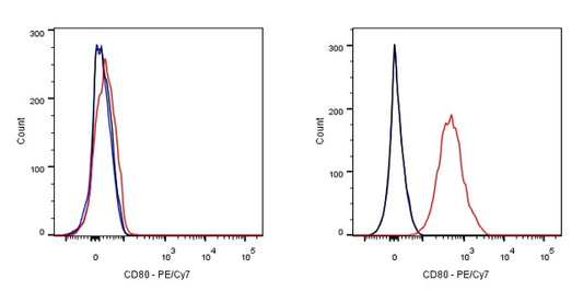 PE-Cy7 Rabbit Anti-Human CD80 Antibody (S-288-177)