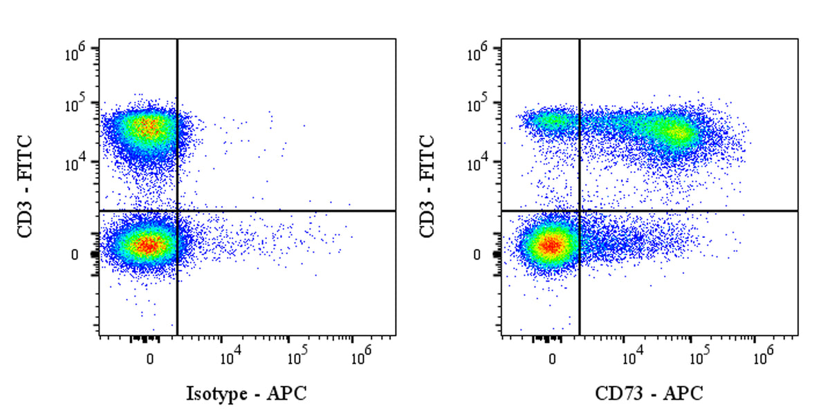 APC Rat Anti-Mouse CD73 Antibody (S-R636)
