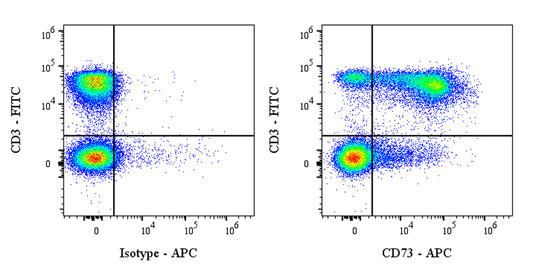 APC Rat Anti-Mouse CD73 Antibody (S-R636)
