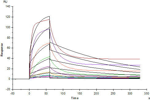 IL-6 R alpha/CD126 Fc Chimera Protein, Human