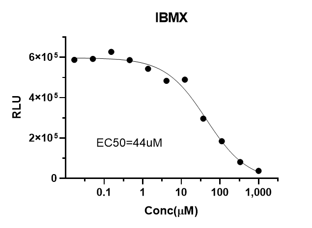UA-Glo® AMP Assay Kit