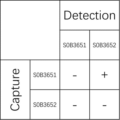 TL1A/TNFSF15 Recombinant Rabbit mAb (SDT-3151-53)