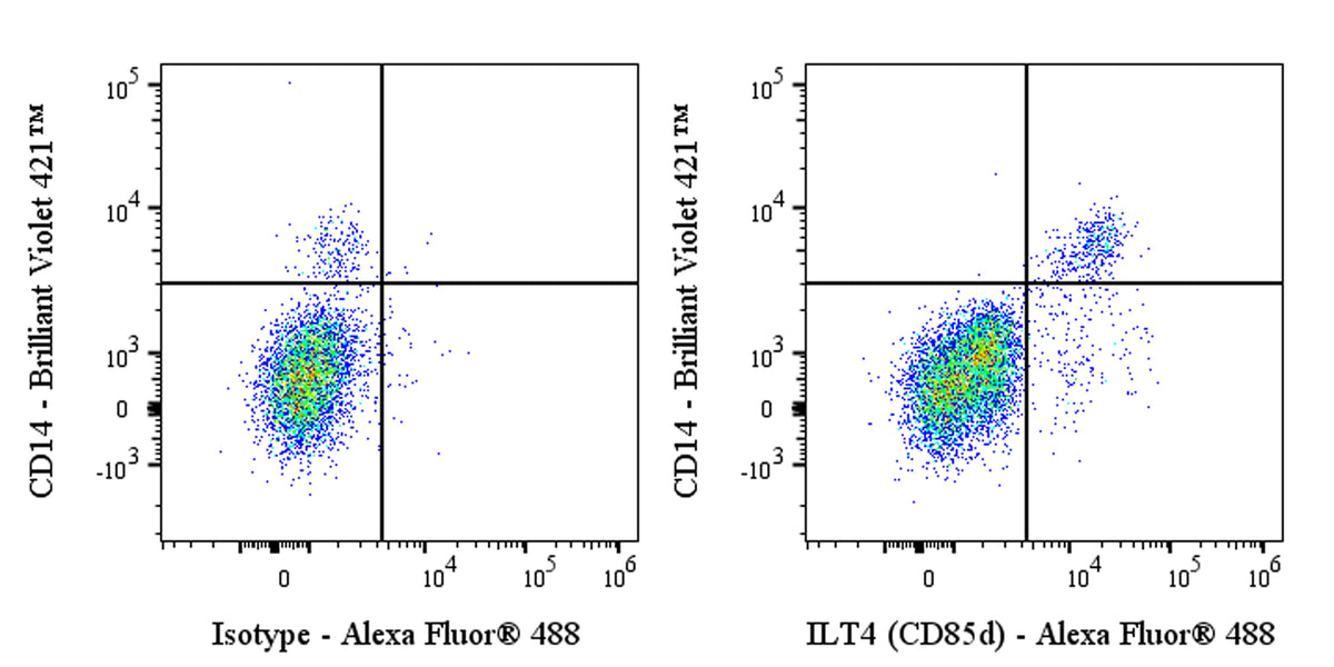 Alexa Fluor® 488 Rabbit Anti-Human ILT4 (CD85d) Antibody (S-281-50)