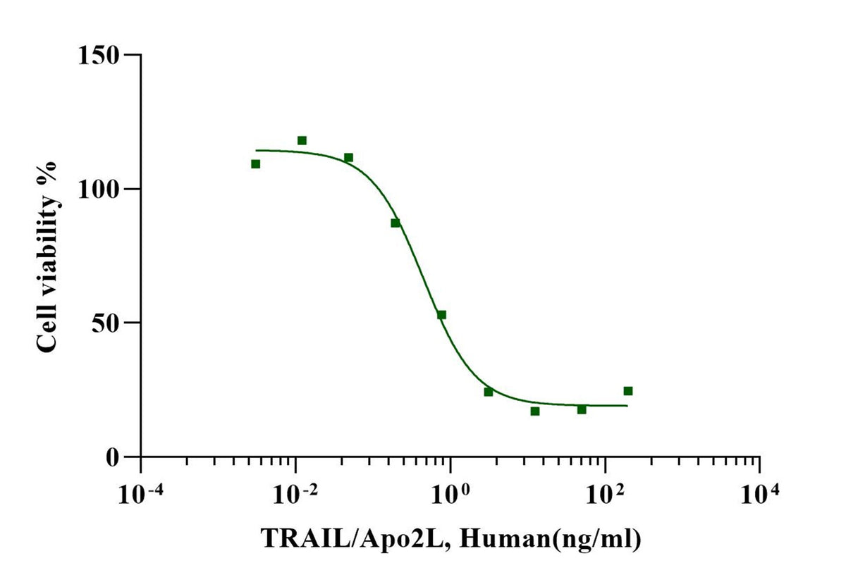 TRAIL/Apo2L Protein, Human