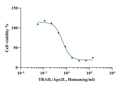 TRAIL/Apo2L Protein, Human