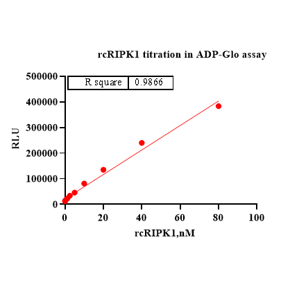 Product image media