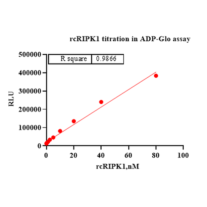 Product image media
