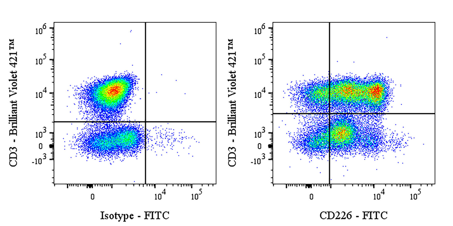 FITC Mouse Anti-Human CD226 Antibody (DX11)