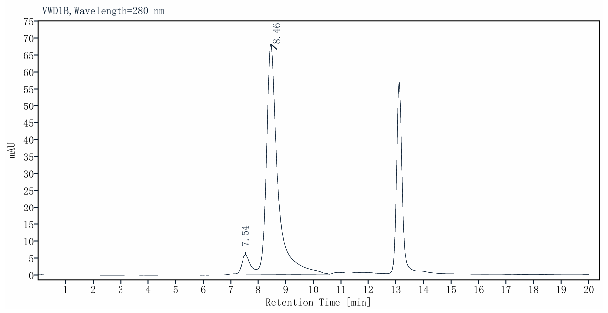 STUB1/CHIP His Tag Protein, Human